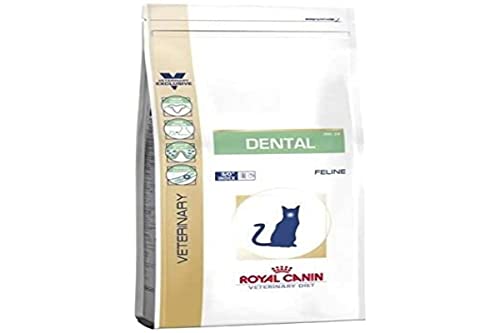 Royal Canin Alimento para Gatos Dental DSO29 - 3 kg