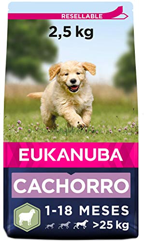Eukanuba Alimento seco para cachorros en crecimiento de razas grandes, rico en cordero y arroz, 2,5 kg