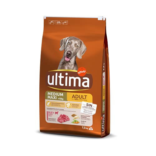 Ultima Medium-Maxi Adult Buey, Comida seca para perros, 7,5kg