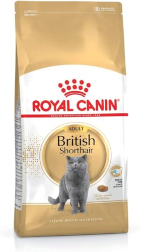 Royal Canin British Shorthair Adult | 400 g | Pienso especial para gatos adultos de pelo corto británico | A partir de 12 meses de edad | Para la protección de huesos y articulaciones