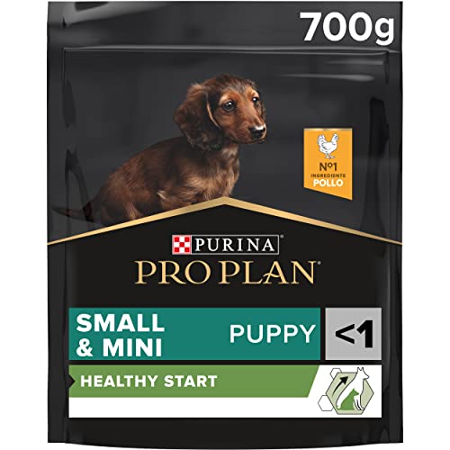 Purina Pro Plan Small Puppy Start Pienso para Perro pequeño, Mini, Cachorro, Junior, Bebé con Pollo, 8 bolsas de 700g