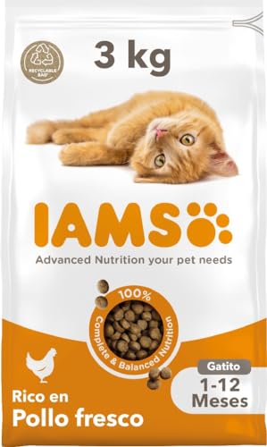 IAMS for Vitality Alimento seco para gatitos con pollo fresco (1-12 meses), 3 kg