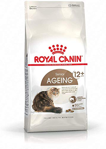 Royal canin Ageing + 12 pienso para gatos