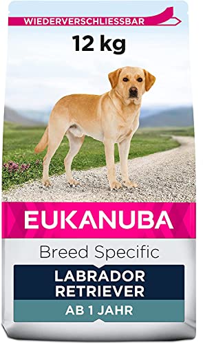 EUKANUBA Breed Specific Alimento seco para perros labrador retriever adultos, alimento para perros óptimamente adaptado a la raza 12 kg