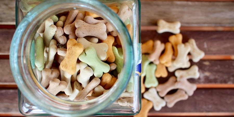 ¿Cuáles son los mejores snacks bajos en calorías para tu mascota?
