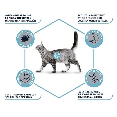 Advance Veterinary Diets Gastroenteric Sensitive gatos