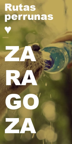 Rutas para perros en Zaragoza