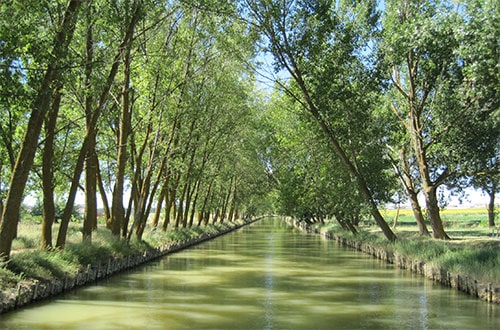 Canal de Castilla Medina de Rioseco en Valladolid